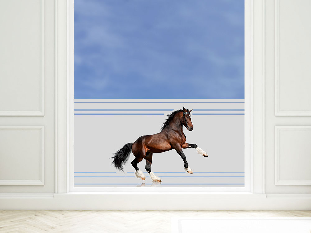 Sichtschutz Folie Sichtschutzfolie für Mädchenzimmer Schriftzug Pony Wiese 