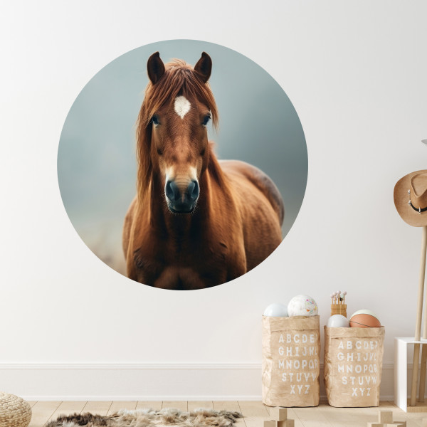 Pferde Wandtattoo - Wandbild selbstklebend rund