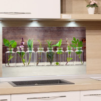 Spritzschutz Küche Kräuter in Gläsern Rosmarin Beispiel in der Küche