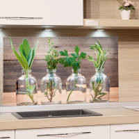 Spritzschutz aus Glas Glaskrüge mit Kräutern Beispiel in der Küche